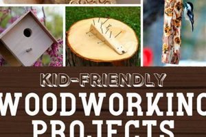 Easy Children's Woodwork Projects: Fun & Safe Plans Step-by-Step Guides, Tools & Inspiration to Build Beautiful Wooden Decor on a Budget Easy Children's Woodwork Projects: Fun & Safe Plans | Step-by-Step Guides, Tools & Inspiration to Build Beautiful Wooden Decor on a Budget