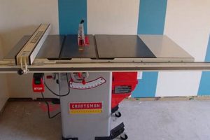 Top-Rated: Professional Woodworker Table Saw Guide | Step-by-Step Guides, Tools & Inspiration to Build Beautiful Wooden Decor on a Budget