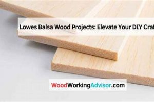 Easy Lowe's Woodworking Projects: Build Your Dream Step-by-Step Guides, Tools & Inspiration to Build Beautiful Wooden Decor on a Budget Easy Lowe's Woodworking Projects: Build Your Dream | Step-by-Step Guides, Tools & Inspiration to Build Beautiful Wooden Decor on a Budget
