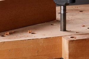 Best Hold Down Clamps for Woodworking Projects: A Guide | Step-by-Step Guides, Tools & Inspiration to Build Beautiful Wooden Decor on a Budget