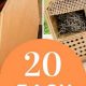 Easy &amp; Cool Woodworking Projects for Teens - Plans &amp; Ideas! | Step-by-Step Guides, Tools & Inspiration to Build Beautiful Wooden Decor on a Budget