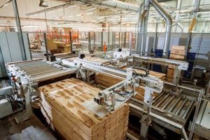 Automated Woodworking: Your Machine Guide & Benefits | Step-by-Step Guides, Tools & Inspiration to Build Beautiful Wooden Decor on a Budget