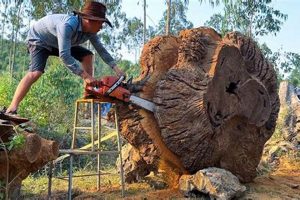 Epic Large Woodworking Projects: Ideas & Plans! Step-by-Step Guides, Tools & Inspiration to Build Beautiful Wooden Decor on a Budget Epic Large Woodworking Projects: Ideas & Plans! | Step-by-Step Guides, Tools & Inspiration to Build Beautiful Wooden Decor on a Budget