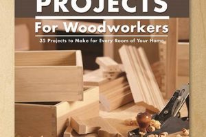 Easy DIY: Practical Weekend Projects for Woodworkers - Builds! | Step-by-Step Guides, Tools & Inspiration to Build Beautiful Wooden Decor on a Budget