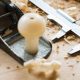 Essential Gear: What Basic Woodworking Tools Do You Need? | Step-by-Step Guides, Tools & Inspiration to Build Beautiful Wooden Decor on a Budget
