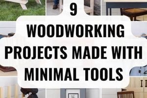 Easy Woodworking Basic Projects: Build Skills Fast! Step-by-Step Guides, Tools & Inspiration to Build Beautiful Wooden Decor on a Budget Easy Woodworking Basic Projects: Build Skills Fast! | Step-by-Step Guides, Tools & Inspiration to Build Beautiful Wooden Decor on a Budget