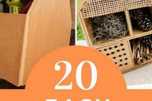 Easy Woodworking Project for Teenager: Plans & Ideas! | Step-by-Step Guides, Tools & Inspiration to Build Beautiful Wooden Decor on a Budget